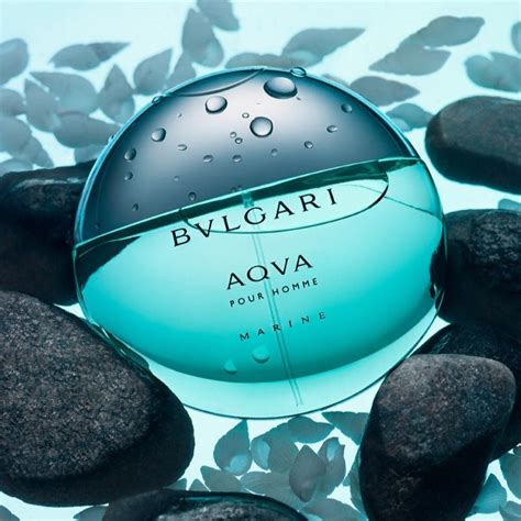 bvlgari aqva marine pour homme fragrantica